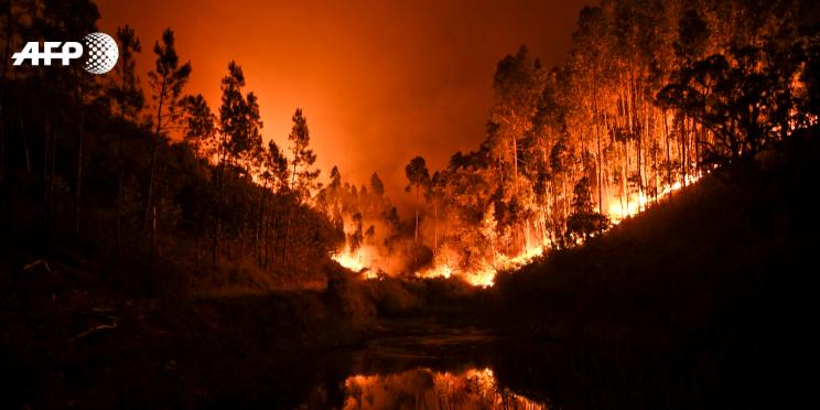 AFP photographer Patricia de Melo Moreira wins the first photo prize of the Estacao Imagem de Coimbra festival in Portugal
